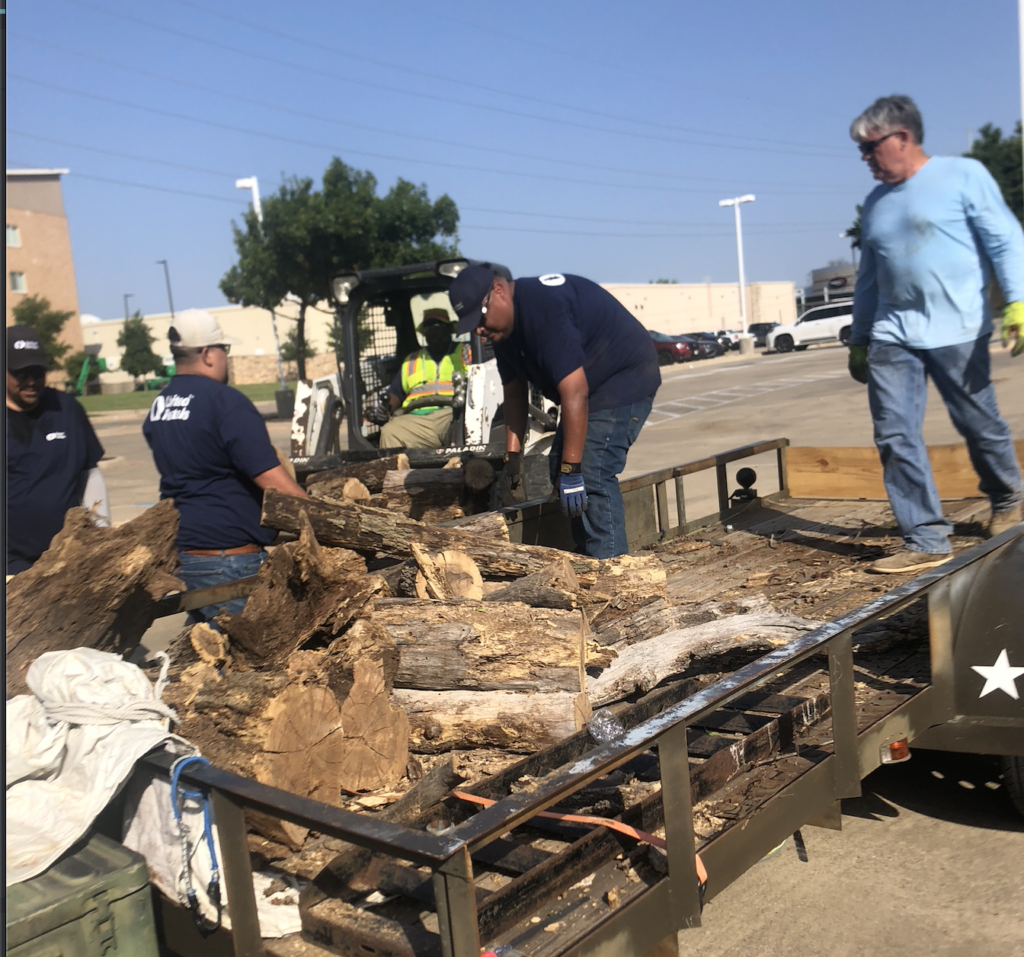 Big logs to dump